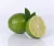Import NATURAL FRESH LIME FRUIT WITH HIGH QUALITY & HIGH VALUE FROM INDIA from India