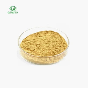 Natural Polyphenol 98% EGCG 45% 90% 95% Green Tea Extract Powder Epicatechin Green Tea Extract