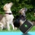 Import Necklace gps gprs mini kids pet tracker best small tracking device for pets from China