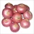 Import New Crop Fresh Red Onions For Export from India