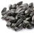 Import New Crop High Quality Sunflower Seeds from South Africa from USA