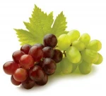 New Crop Sweet Fresh Red Grape