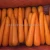 Import New cropyear fresh red carrot is on the market from China