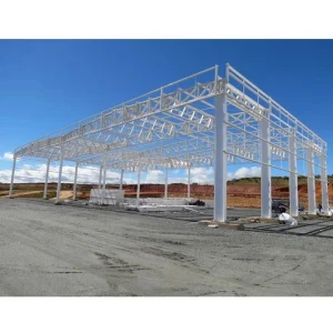 New customized warehouse / workshop / steel structure building