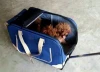 New Design Dog Outdoor Travel Carry Pet Bag Pet Cat Bags