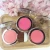 Import New Goods  Customized Your Own Brand OEM Matte Mini Peach Cheek Makeup Compact Makeup Blush from China