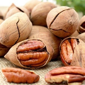 Organic Pecan Nuts, Raw Pecan Nuts, Pecan Nuts Halves For Sale