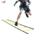 Import Outdoor Sports Coordination Speed agility skipping Ladder/Soccer Fitness equipment from China