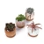 Import Owl Orchid Cute Spanish Flowerpot Gold Small Round Mini Cheap Modern Cactus Planter Ceramic Pots Planter Pots Set with Tray Lids from China