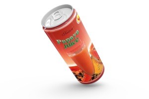 papaya fruit juice packing on tinplate can/Not from concentrate from vietnam supplier