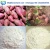 Import Pharmaceutical Grade Corn Starch Production Machine Tapioca Cassava Flour Making Machine from China
