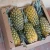 Import Pineapples Fresh Pineapples from South Africa