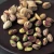 Import Pistachio Nut / Roasted Inshell Seeds //Pistachio from Canada