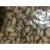 Import Pistachio Nuts With Shell - High Quality Raw Pistachios In Bulk from Austria