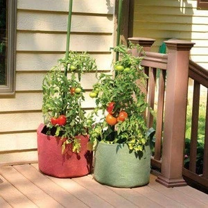 plant grow bags for tomato