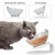 Import Plastic Eco Friendly Supplies Double Raised Luxury Sublimation Elevated Water Food Cat Dog Pet Feeder Bowl from China