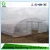 Import Poly Tunnel single span film Agriculture Greenhouse From China green house from China