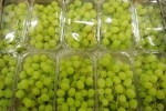 Premium Egyptian Early Sweet Grapes for Export - High-Quality and Delicious Grape Seedless Sweet Grapes for sale  Natural Fresh