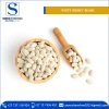 Premium Grade New Crop White Kidney Beans Supplier
