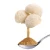 Import Private Label Lions Mane Supplement 10:1 Lions Mane Powder Lions Mane Mushroom Extract Powder from China
