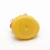 Import Promotion soft bath toy rubber duck for babies from China