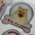 Import PVC Sticker Type and fridge magnet Style epoxy dome magnets from China