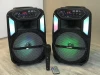 QS-4801 New design surround sound dj speaker 8 inch horn rechargeable karaoke speaker with colorful light