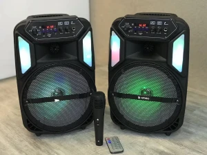 QS-4801 New design surround sound dj speaker 8 inch horn rechargeable karaoke speaker with colorful light