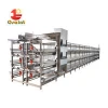 quail laying cage automatic