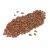 Import Quality Dried Cacao Beans / Cocoa- Beans From Cameroon from South Africa