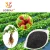 Import &quot;Soimax Seplus&quot; Hydroponic Nutrients Solution High Quality Fortified Organic Fertilizers Powder Ascophyllum Nodosum from China
