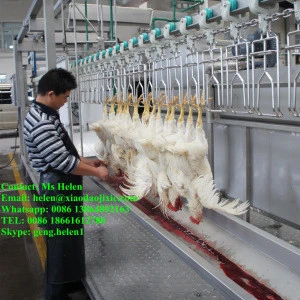 Reasonable price poultry slaughtering machine line, chicken slaughter machine, poultry slaughter equipment