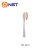 Import Rechargeable toothbrush Nylon bristle customized electric toothbrush replacement head  in reasonable price from China