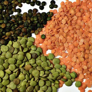 RED & GREEN LENTILS