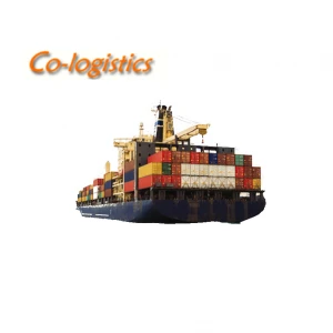 Reliable sea freight forwarder DDP sea freight from Shanghai/Shenzhen/Tianjin China to USA