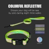 Rena Pet Colorful Adorable Fashion Adjustable Neon Reflective Nylon Collar