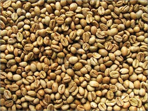 robusta coffee bean