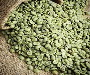 Robusta Coffee/Arabica Green Coffee Beans