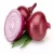 Import Round fresh red onions fresh cheap onion from China