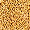 Russian chickpea agricultural crop in big bags