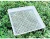 Import seed sprouter tray cheap sprouting cells flat plastic tray PP reusable free sample from China
