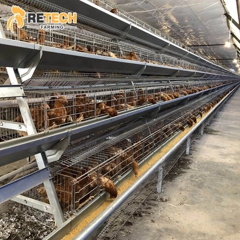 Semi Automatic Chicken Raising Equipment Laying Hens Cage System for poultry farm