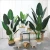 Import Simulated plant pot Artificial banana palm tree Ornamental over green plants from China