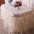 Import SK010Q baby shower birthday party ready to ship wedding champagne organza curly willow bridal table skirt from China