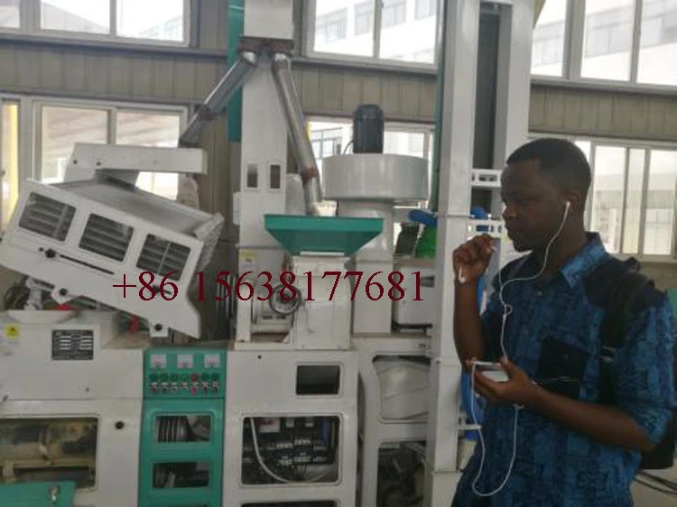 Small Rice Milling Production Line/mini rice milling machine in Nigeria market