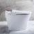 Import Smart intelligent  bowl ceramic bidet toilet wc from China