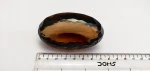 Smoky Quartz Smoky Topaz Brown AAA Quality Handmade Smoky Crystal Big Natural Stone Loose Gemstone Oval Jewelry Making IN;27243