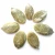 Import Snow White Pumpkin seed from China