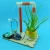 Import Soil humidity sensing automatic flower watering kit Stem project from China