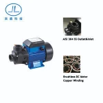 SQB2.0/25-D24/210 24V solar domestic dc pump solar vortex pump solar homeuse pump